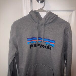 Patagonia Gray Hoodie with Colorful Logo
